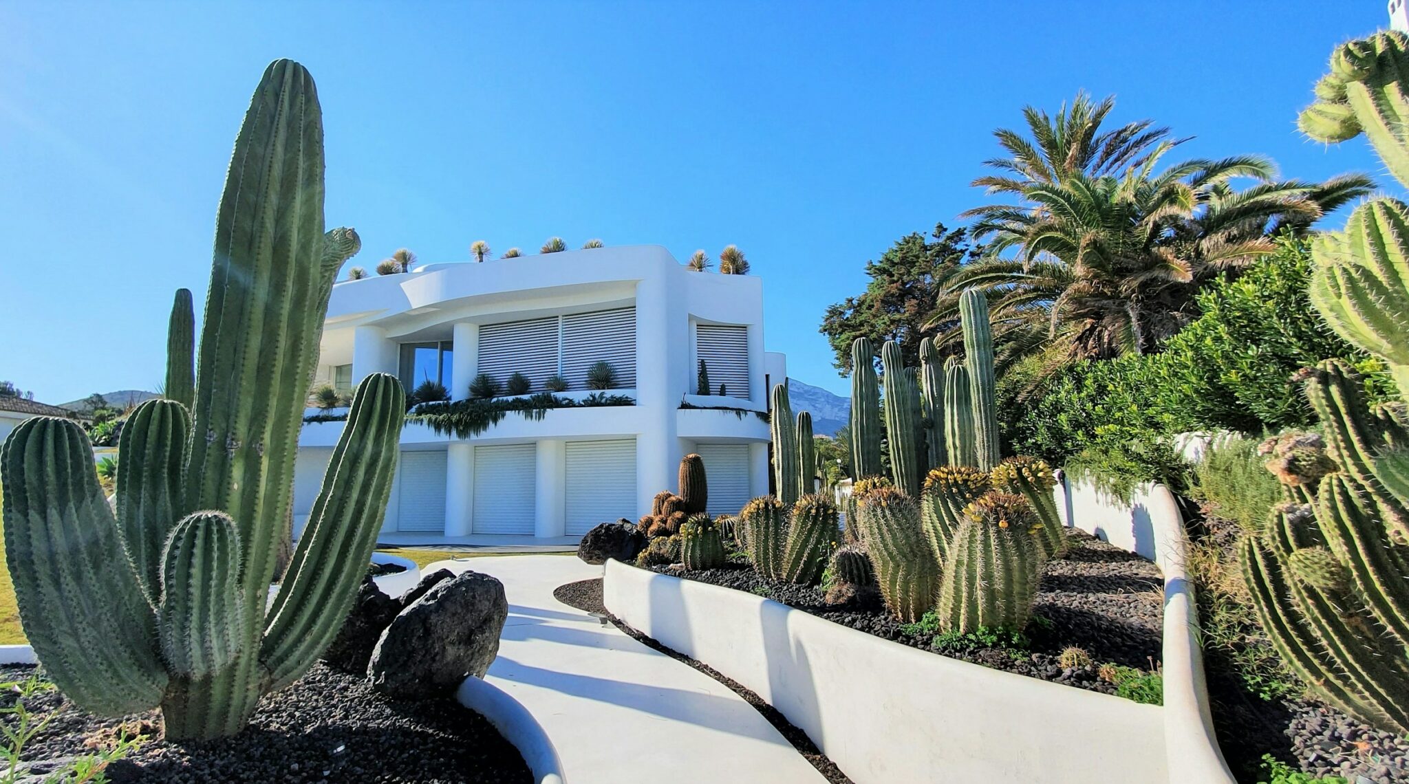 New Orleans Landscaping